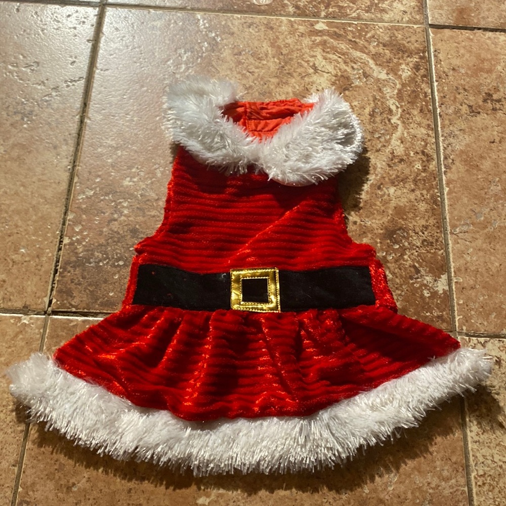 Dog costume Santa